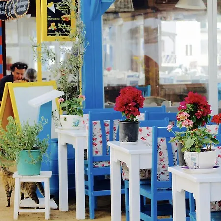 My House Bodrum Apartahotel Gümüşlük