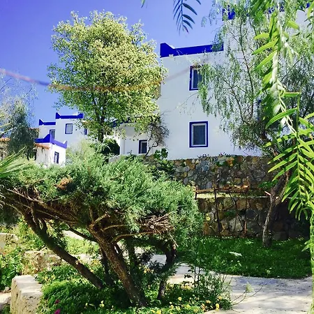 アパートホテル My House Bodrum
