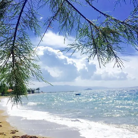 My House Bodrum Apartahotel *