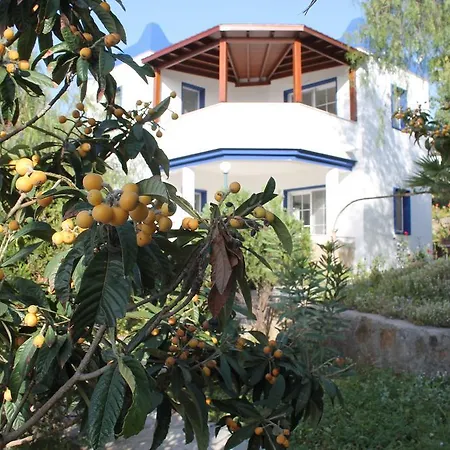 My House Bodrum Gümüşlük