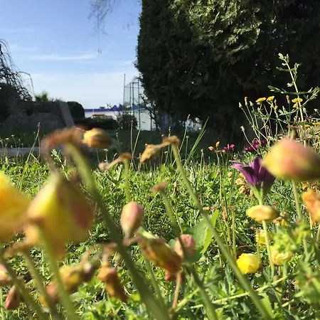 My House Bodrum Appart hôtel