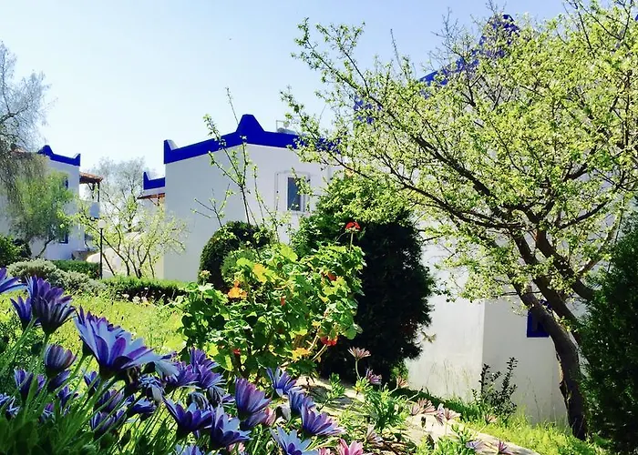 My House Bodrum *