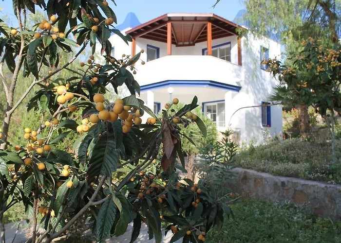 My House Bodrum Gumusluk
